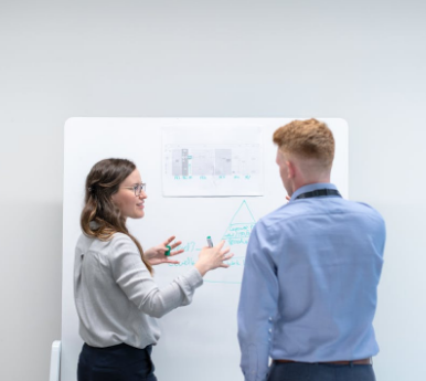 The Role of the Data Protection Officer (DPO) and Risk and High Risk under the GDPR