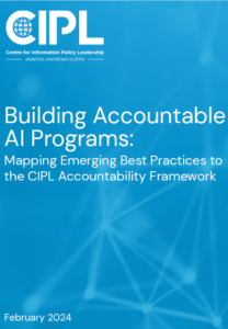 Building Accountable AI Programs