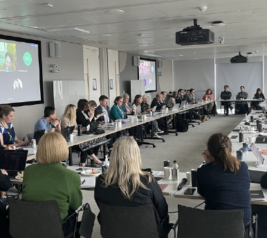 Key Takeaways: A Multi-Stakeholder Dialogue on Age Assurance – Working Group on Law and Regulation